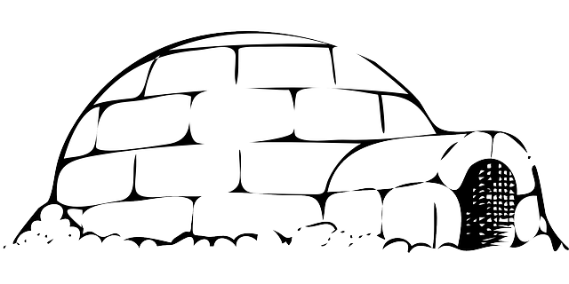 iglů